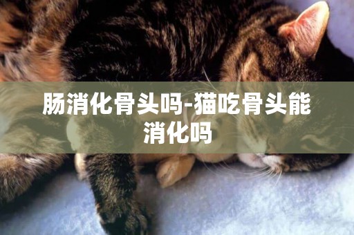 腸消化骨頭嗎-貓吃骨頭能消化嗎