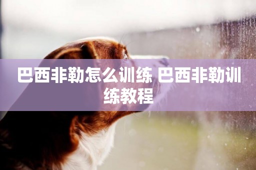 巴西非勒怎么訓練 巴西非勒訓練教程