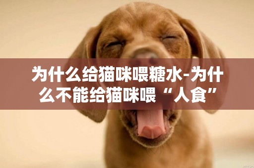 為什么給貓咪喂糖水-為什么不能給貓咪喂“人食”
