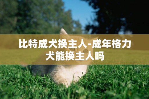 比特成犬換主人-成年格力犬能換主人嗎