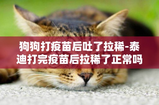 狗狗打疫苗后吐了拉稀-泰迪打完疫苗后拉稀了正常嗎