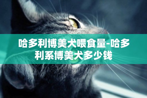 哈多利博美犬喂食量-哈多利系博美犬多少錢