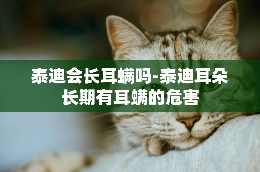 泰迪會長耳螨嗎-泰迪耳朵長期有耳螨的危害