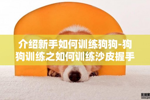 介紹新手如何訓練狗狗-狗狗訓練之如何訓練沙皮握手