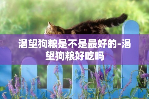 渴望狗糧是不是最好的-渴望狗糧好吃嗎