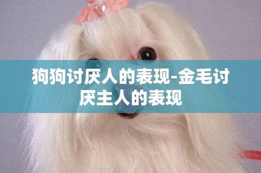 狗狗討厭人的表現-金毛討厭主人的表現