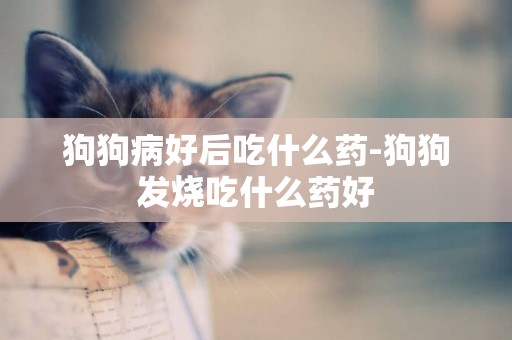 狗狗病好后吃什么藥-狗狗發燒吃什么藥好