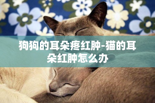 狗狗的耳朵疼紅腫-貓的耳朵紅腫怎么辦