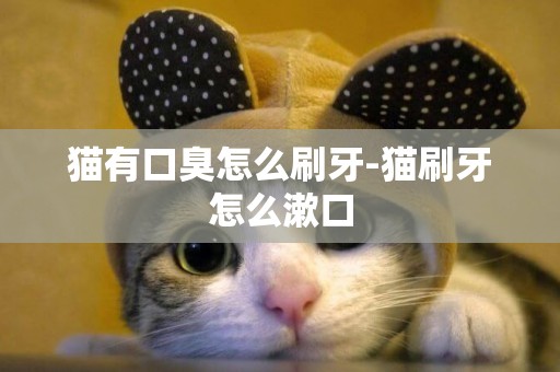貓有口臭怎么刷牙-貓刷牙怎么漱口