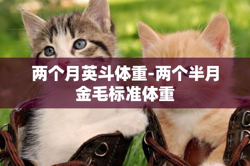 兩個月英斗體重-兩個半月金毛標準體重
