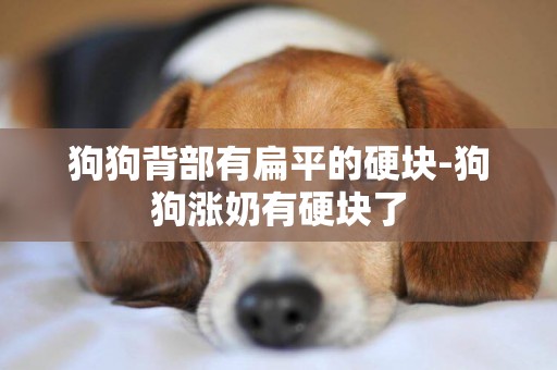 狗狗背部有扁平的硬塊-狗狗漲奶有硬塊了