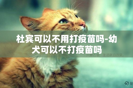 杜賓可以不用打疫苗嗎-幼犬可以不打疫苗嗎