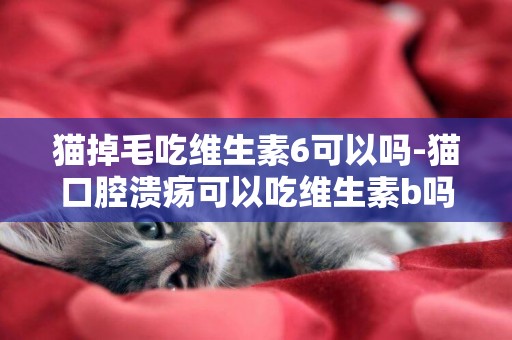 貓掉毛吃維生素6可以嗎-貓口腔潰瘍可以吃維生素b嗎