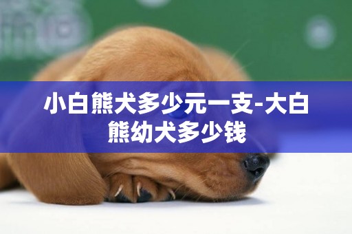小白熊犬多少元一支-大白熊幼犬多少錢
