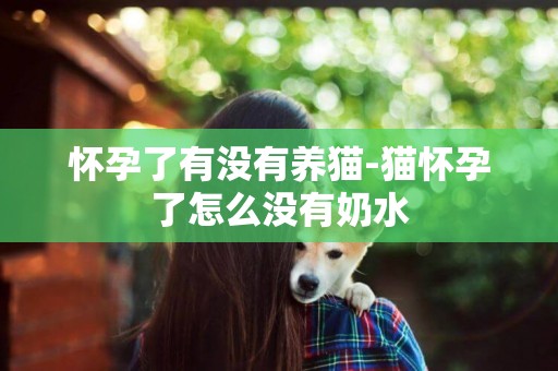 懷孕了有沒有養貓-貓懷孕了怎么沒有奶水