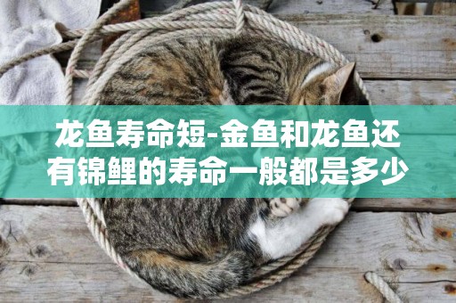 龍魚壽命短-金魚和龍魚還有錦鯉的壽命一般都是多少年呢