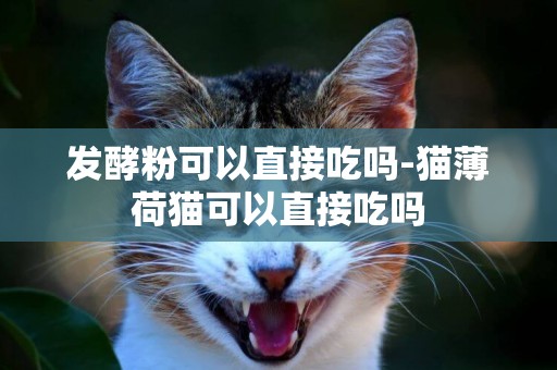發酵粉可以直接吃嗎-貓薄荷貓可以直接吃嗎