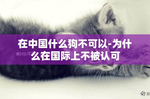 在中國什么狗不可以-為什么在國際上不被認可