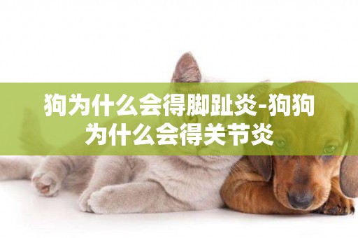 狗為什么會得腳趾炎-狗狗為什么會得關節炎