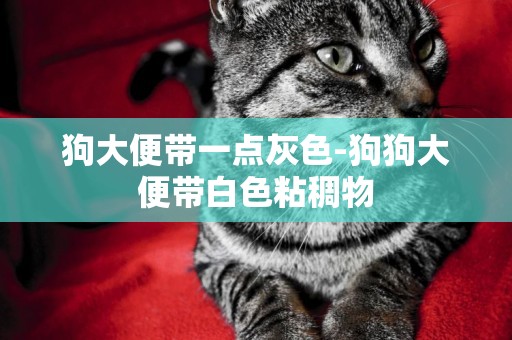 狗大便帶一點灰色-狗狗大便帶白色粘稠物