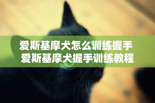 愛斯基摩犬怎么訓練握手 愛斯基摩犬握手訓練教程