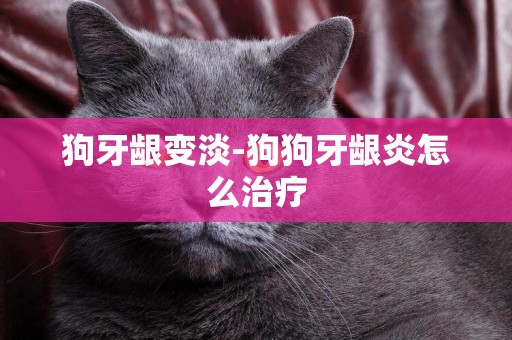 狗牙齦變淡-狗狗牙齦炎怎么治療