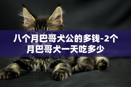 八個月巴哥犬公的多錢-2個月巴哥犬一天吃多少