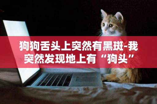 狗狗舌頭上突然有黑斑-我突然發現地上有“狗頭”