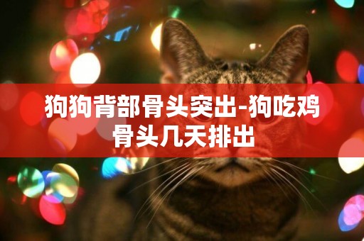 狗狗背部骨頭突出-狗吃雞骨頭幾天排出
