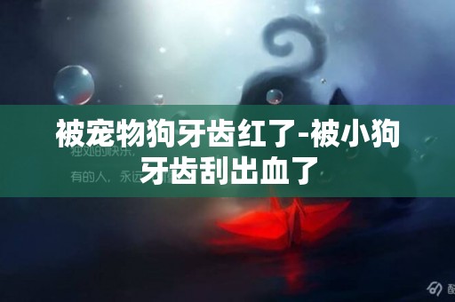 被寵物狗牙齒紅了-被小狗牙齒刮出血了