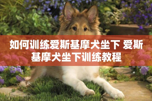 如何訓練愛斯基摩犬坐下 愛斯基摩犬坐下訓練教程