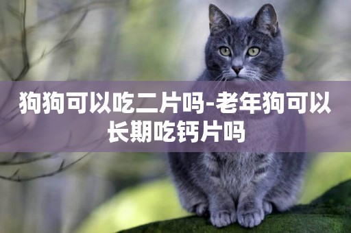 狗狗可以吃二片嗎-老年狗可以長期吃鈣片嗎