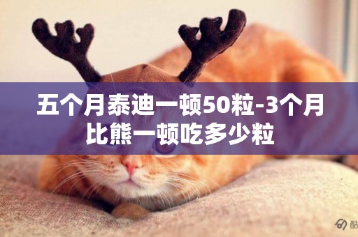 五個月泰迪一頓50粒-3個月比熊一頓吃多少粒