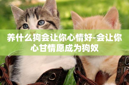 養什么狗會讓你心情好-會讓你心甘情愿成為狗奴