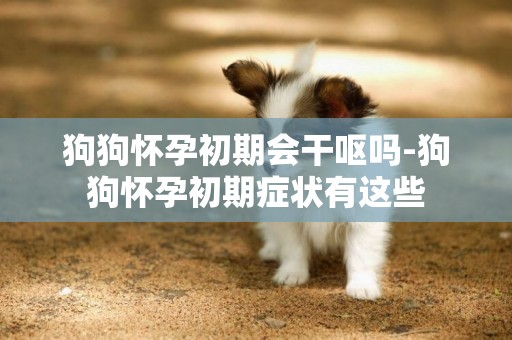 狗狗懷孕初期會干嘔嗎-狗狗懷孕初期癥狀有這些