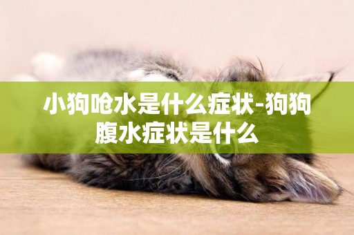 小狗嗆水是什么癥狀-狗狗腹水癥狀是什么