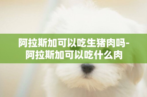 阿拉斯加可以吃生豬肉嗎-阿拉斯加可以吃什么肉