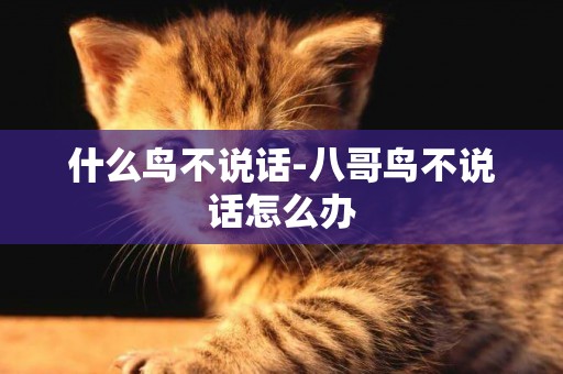 什么鳥不說話-八哥鳥不說話怎么辦