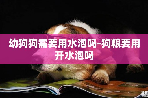 幼狗狗需要用水泡嗎-狗糧要用開水泡嗎