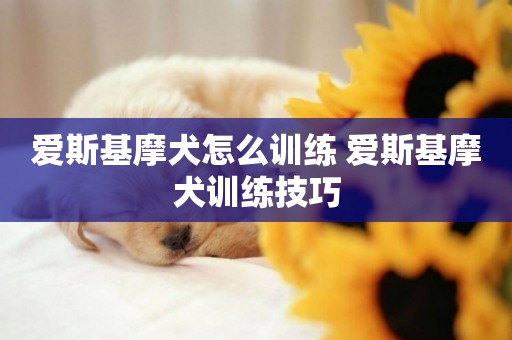 愛斯基摩犬怎么訓練 愛斯基摩犬訓練技巧