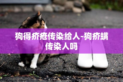 狗得疥瘡傳染給人-狗疥螨傳染人嗎