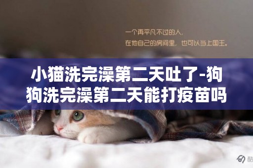 小貓洗完澡第二天吐了-狗狗洗完澡第二天能打疫苗嗎