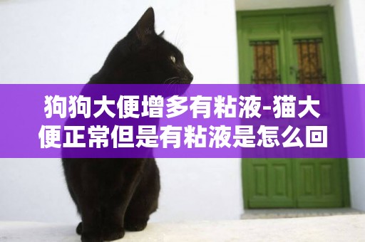 狗狗大便增多有粘液-貓大便正常但是有粘液是怎么回事