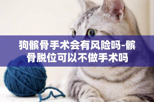 狗髕骨手術會有風險嗎-髕骨脫位可以不做手術嗎