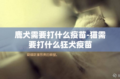 鹿犬需要打什么疫苗-貓需要打什么狂犬疫苗