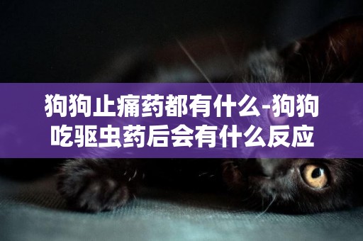 狗狗止痛藥都有什么-狗狗吃驅蟲藥后會有什么反應
