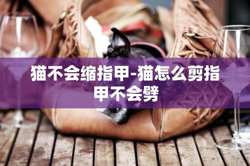 貓不會縮指甲-貓怎么剪指甲不會劈