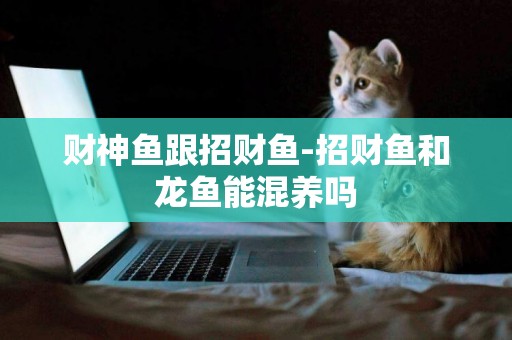 財神魚跟招財魚-招財魚和龍魚能混養嗎