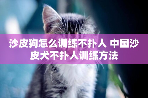 沙皮狗怎么訓練不撲人 中國沙皮犬不撲人訓練方法
