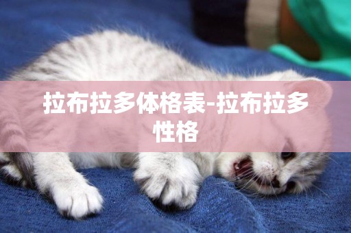 拉布拉多體格表-拉布拉多性格